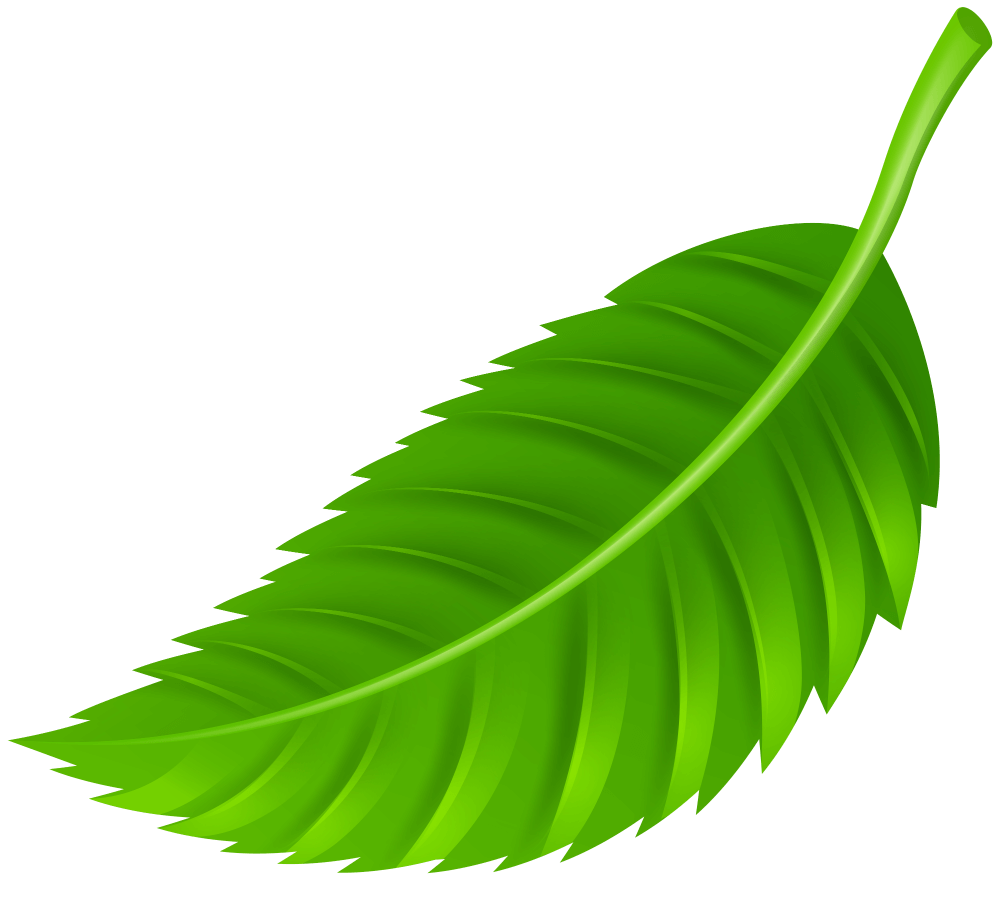 leaf